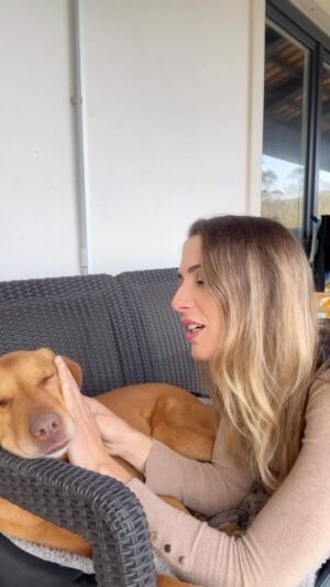 Mafalda Rodiles Instagram - E chegou o dia do BLITZ ir embora com a sua nova família ❤️🐶
Custa, claro que custa…
Mas só deixando-o ir é que posso ajudar mais!
E conseguimos uma família 10 ⭐️ 

Parabéns @patadacucar_dad por não terem desistido dele 💙

Sê muito feliz querido BLITZ! 

#naocompreadote 
#fluffydog