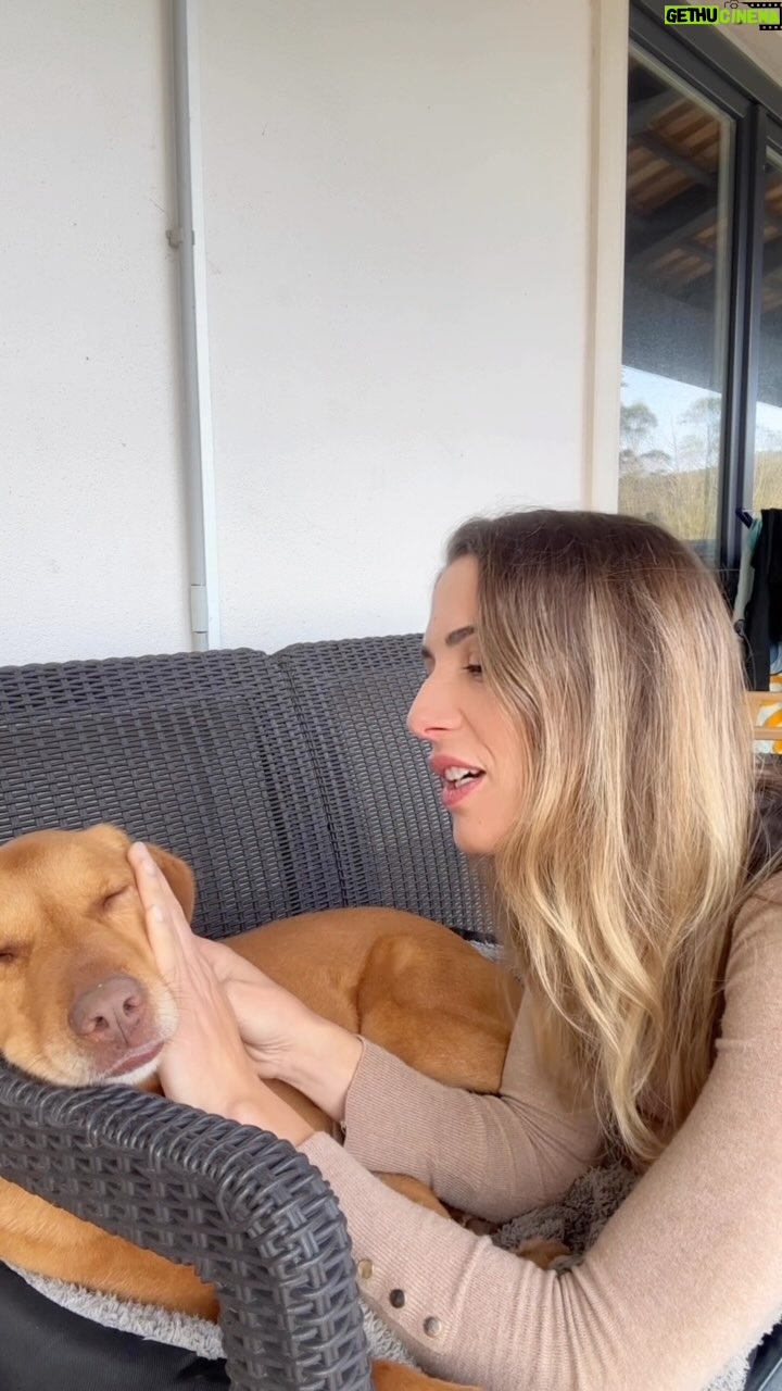 Mafalda Rodiles - 800 Likes - E chegou o dia do BLITZ ir embora com a sua nova família ❤️🐶
Custa, claro que custa…
Mas só deixando-o ir é que posso ajudar mais!
E conseguimos uma família 10 ⭐️
Parabéns @patadacucar_dad por não terem desistido dele 💙
Sê muito feliz querido BLITZ!
#naocompreadote
#fluffydog