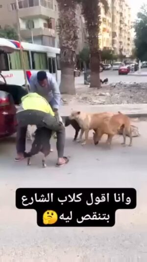 Mai Eidan Instagram - اوعى تاكل كباب كلاب بمصر🤣🤣🤣🤣🤣
👇🏻
#مي#مي_العيدان #فجر_السعيد#كشف #كشف_حساب #تصاميم #نهى_نبيل #فهد_الكبيسي#امل_العوضي #العراق#بغداد#الكويت#فنون#فن#فنان#حب #عادل_إمام #اكسبلور_فولو #الامارات #ملاك_رحمة #الرياض#شمس #عبدالحسين_عبدالرضا #شيماءعلي #الهام_الفضاله #موديل_روز #نانسي_عجرم#شجون#عبدالمجيد_عبدالله