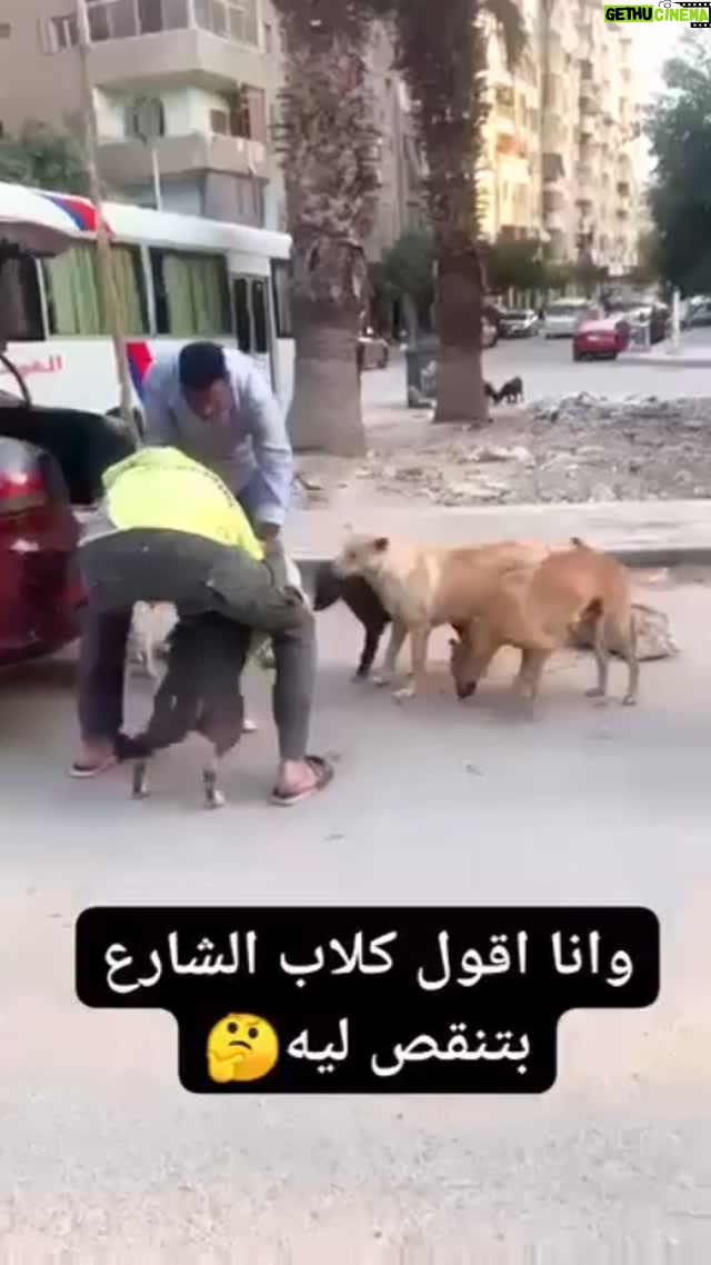 Mai Eidan - 3 Likes - اوعى تاكل كباب كلاب بمصر🤣🤣🤣🤣🤣
👇🏻
#مي#مي_العيدان #فجر_السعيد#كشف #كشف_حساب #تصاميم #نهى_نبيل #فهد_الكبيسي#امل_العوضي #العراق#بغداد#الكويت#فنون#فن#فنان#حب #عادل_إمام #اكسبلور_فولو #الامارات #ملاك_رحمة #الرياض#شمس #عبدالحسين_عبدالرضا #شيماءعلي #الهام_الفضاله #موديل_روز #نانسي_عجرم#شجون#عبدالمجيد_عبدالله