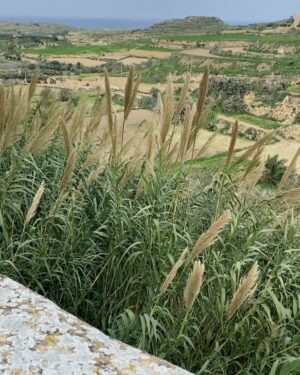 Margarita Ortega Instagram - En Gozo 🇲🇹
#gozomalta #isla #gratitud 
#khaleesi 🎬🐉 #gameofthrones #locacion #serie