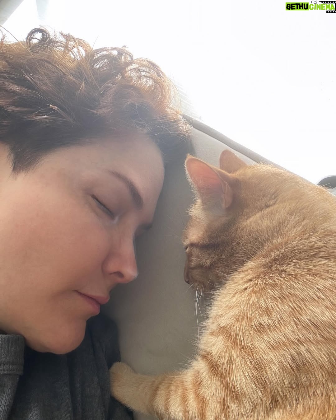 Margarita Ortega - 1.8K Likes - Un mundo mágico.
#mona #michi #mylove 🐈🍊