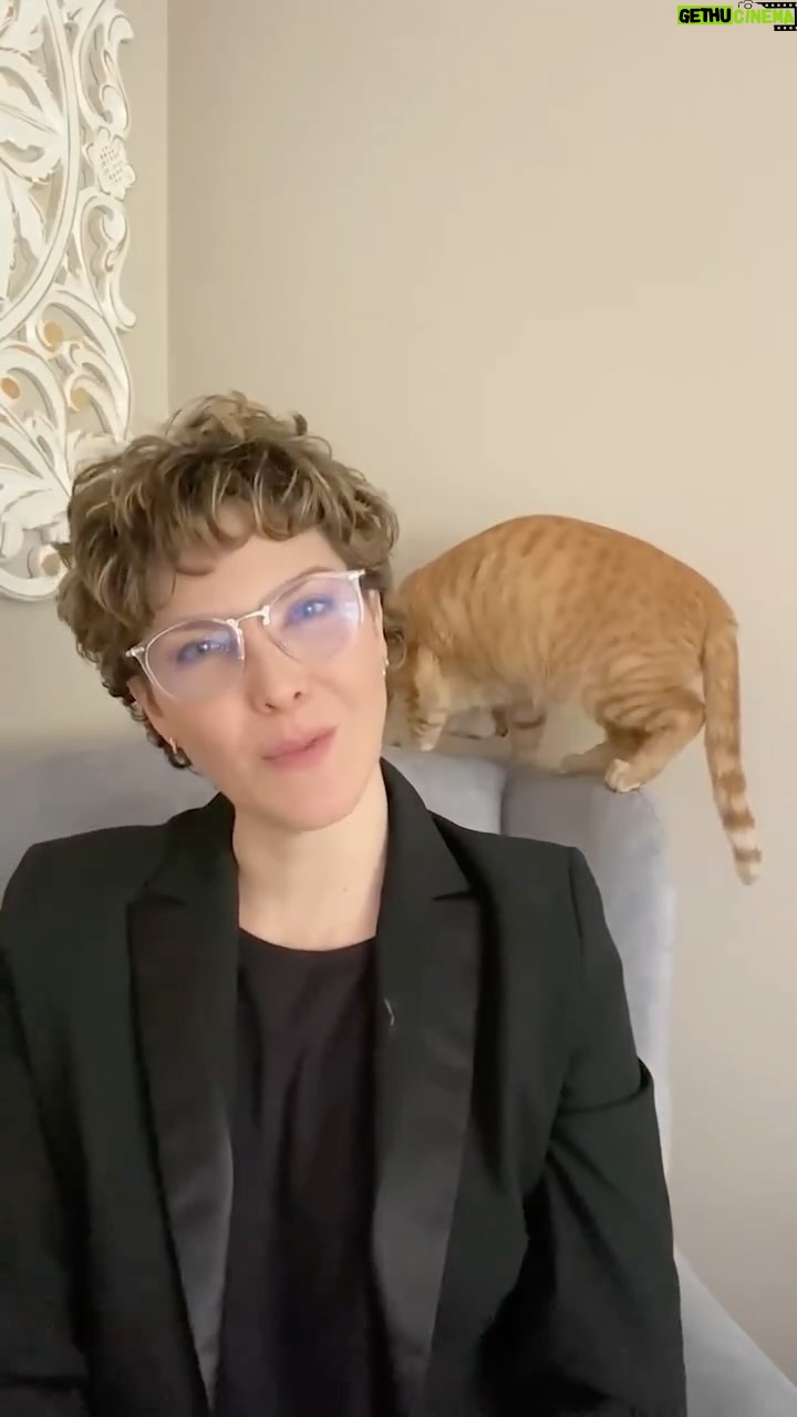 Margarita Ortega - 690 Likes - Disfruta estos fragmentos de la primera temporada de Mujeres 50 .
En este clip, @kristinaperlaza experta financial planer, nos explica de forma muy sencilla la normativa de la reforma pensional que hace su tramite en el Congreso.
Responderemos las preguntas más frecuentes sobre este tema:
¿Qué pasa si ya me voy a pensionar?
¿Tengo las semanas pero no la edad?
¿Tengo la edad pero no las semanas?
Y si tengo mi pensión en un fondo privado ¿Qué va pasar?
Recuerda que todas las entrevistas de #mujeres50masconmargaritaortega las encuentras aquí, en mi perfil de Instagram, en la cuenta @margaritaortega50plus y en el canal de Youtube: Mujeres50conmargaritaortega
Abrazos!
#pension #reforma #mujer #50 #50años #menopausia #colombia #ahorro #ahorros #dinero #vejez