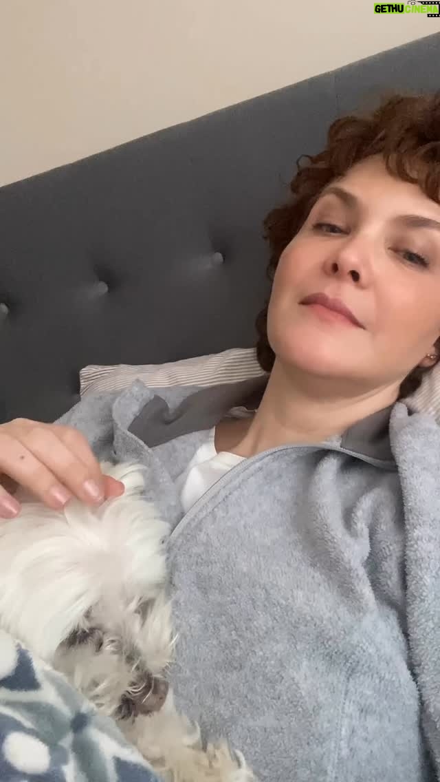 Margarita Ortega - 567 Likes - Amorcito para mis amorcitos. #mate y #mona
Miel para el corazón.
#familiamultiespecie #gatos #perros
