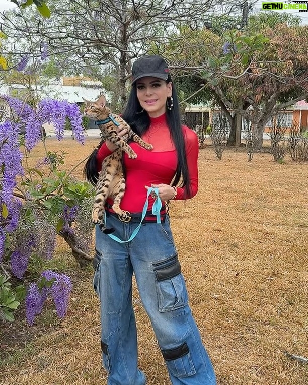 Maribel Guardia - 47.6K Likes - Con la bella Cleopatra 🐈 amo los gatos 🐱 y los perros 🐶 les mando un millón de besos 🐾🐾🐾🐾
