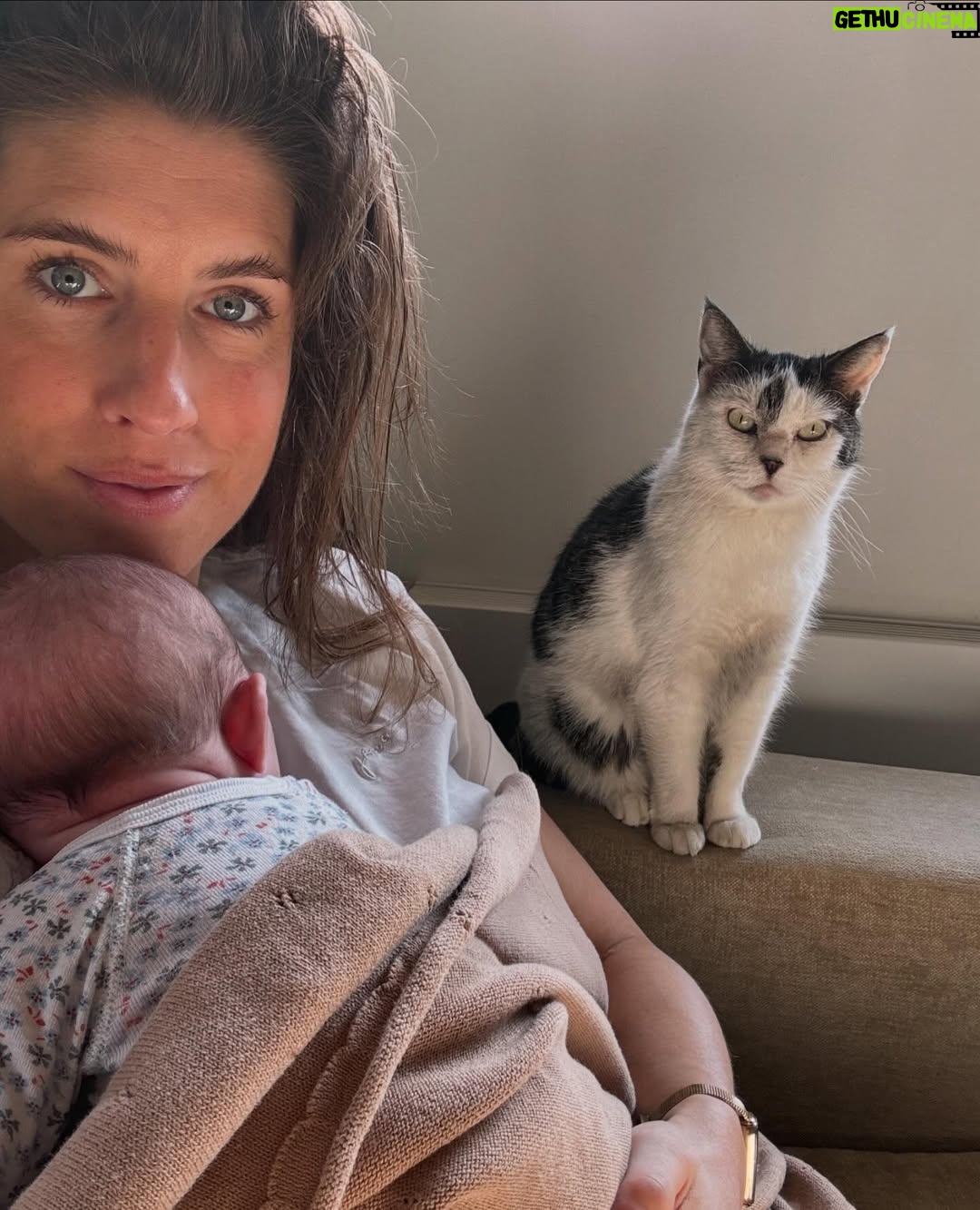 Marieke Elsinga - 60.1K Likes - Even een Kiekje hoor 👶🏼🐱📷
