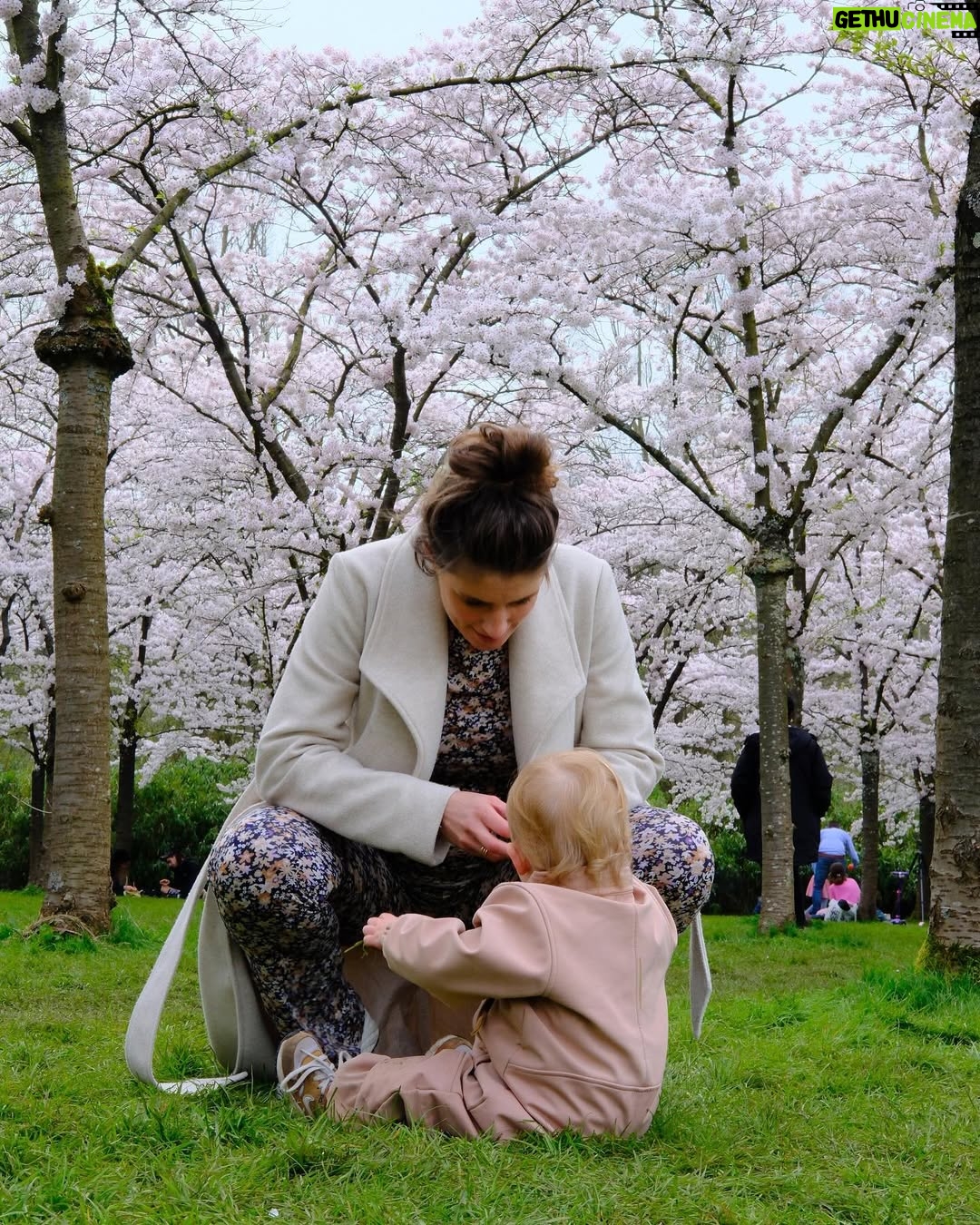 Marieke Elsinga - 50K Likes - Inblenden met de bloesem 🌸