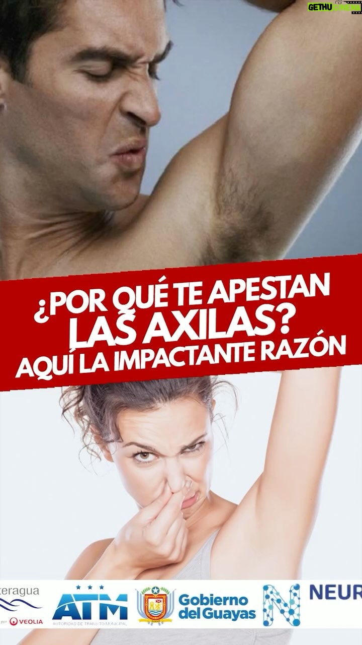 Mariela Viteri - 1.7K Likes - 😰¿Axilas con mal olor? ¡Tenemos el truco que necesitas para decirle adiós a ese problema! 🧼✨
No te pierdas esta entrevista imperdible con el Dr. @drkleberollague, dermatólogo experto, quien nos cuenta cómo combatir el mal olor corporal de forma efectiva y segura.
🗓️ De lunes a viernes, de 10:00 a 13:00
🎙️ Conduce: @marielaviteri
🎧Invitado: @drkleberollague
🎥Mira la entrevista completa en nuestro canal de YouTube O encuéntralo en nuestras historias 📲
#Salud #HigienePersonal #TipsDermatológicos #Axilas #MalOlor #RadioFuego1065 #MarielaTV