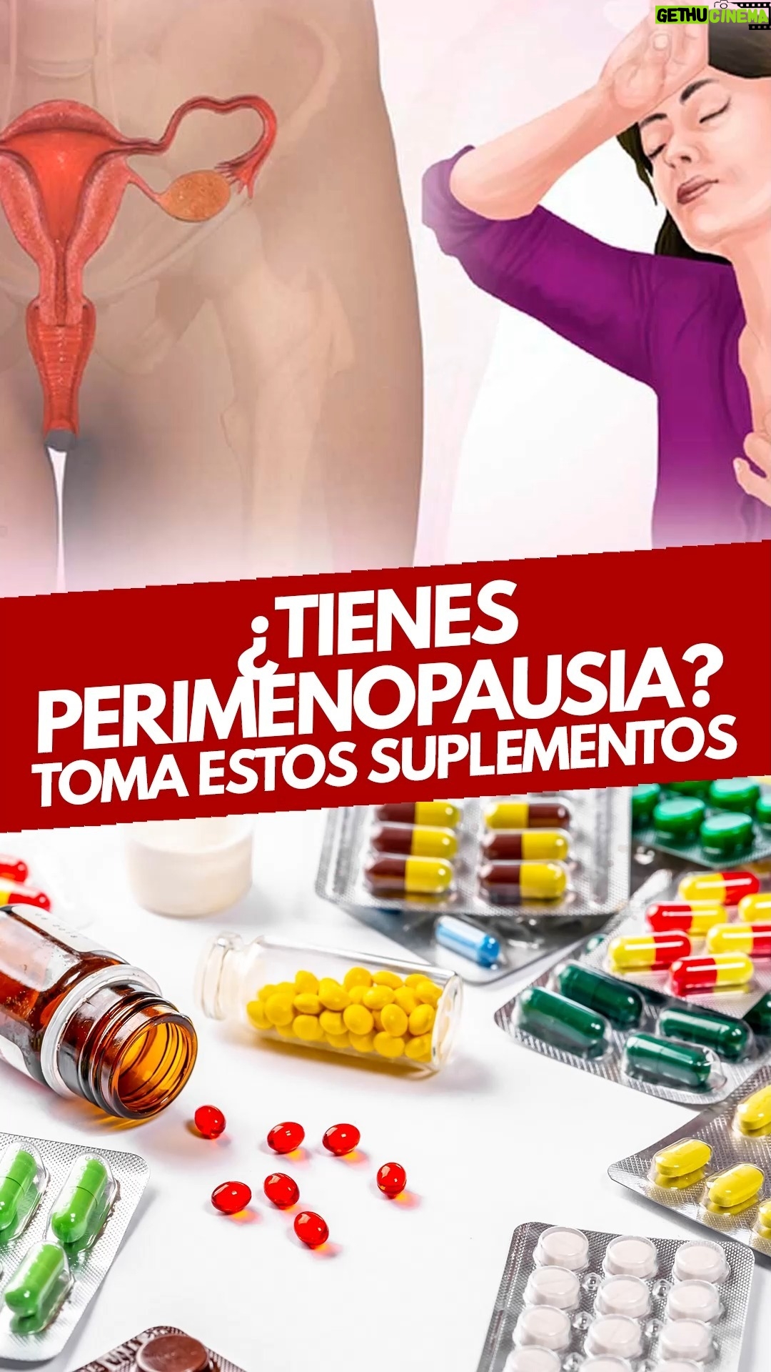 Mariela Viteri - 1.9K Likes - ¿Estás pasando por la perimenopausia? 🌸 ¡No te preocupes! Descubre qué
suplementos puedes tomar para sentirte mejor y equilibrar tu cuerpo. 💪✨
🎙️ En ¿Qué Pasa? con Mariela, hablamos de todo lo que necesitas saber sobre este tema y mucho más. ¡No te lo pierdas!
🗓️ Lunes a viernes, de 10:00 a 13:00
🎤 Entrevistadora: @marielaviteri
💬 Invitada especial: @dra.mariajoseviteri
👉 Mira la entrevista completa en mi canal de YouTube, MarielaTV. ¡Haz clic en el link de mis historias!
#RadioFuego1065 #MarielaTV #Perimenopausia #Suplementos #SaludFemenina #Epilepsia #Bienestar #MujeresQueSeCuidan #SaludYBienestar #MujerSaludable #CuerpoYMente
