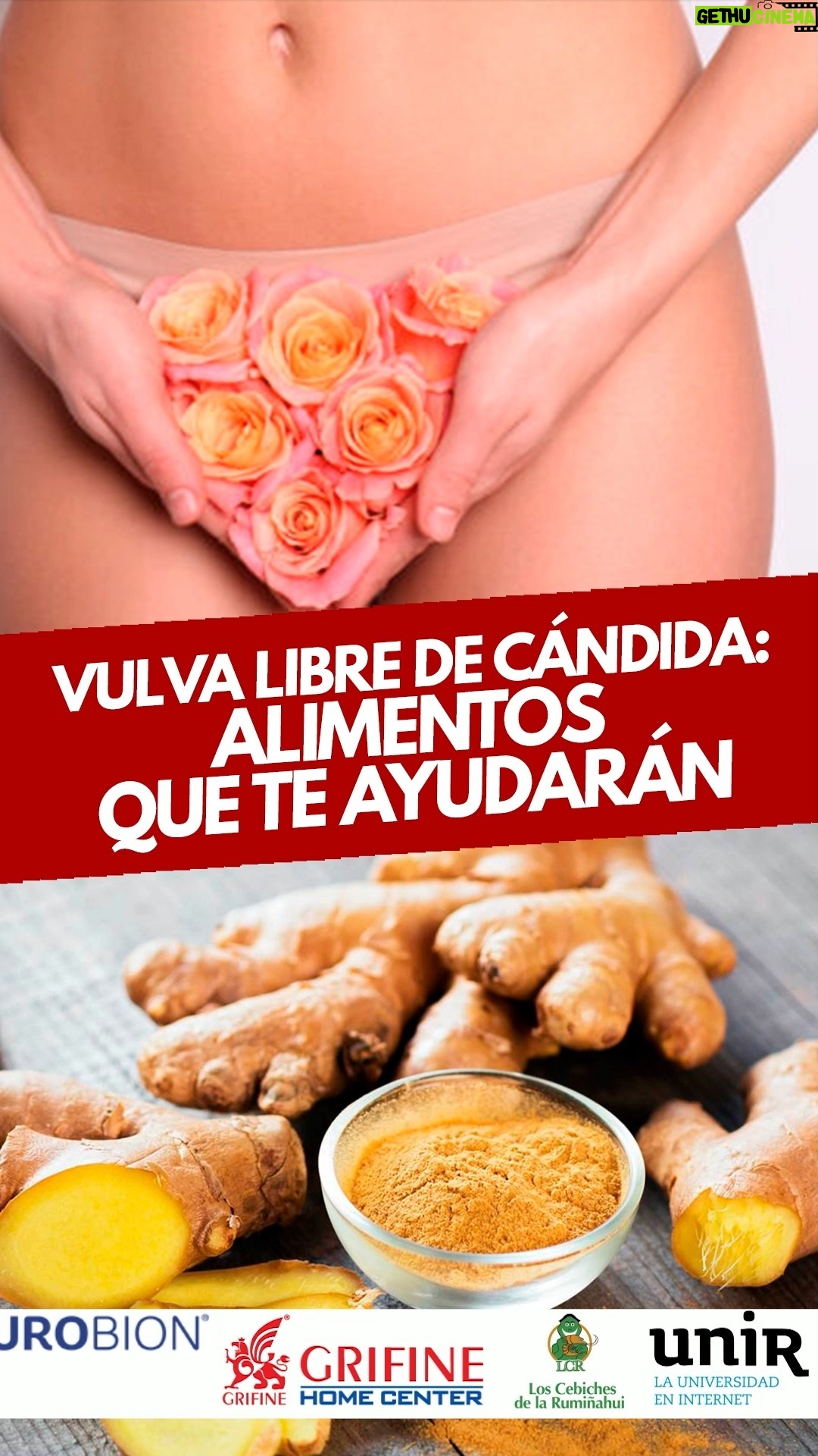 Mariela Viteri - 1.1K Likes - 🔴 Vulva libre de cándida: ¡Descubre los alimentos que te ayudarán! 🍏
En ¿Qué Pasa? con Mariela, hablamos sobre cómo mantener tu salud íntima en equilibrio con la ayuda de la nutricionista @nutricionistasussycorral. Aprende qué alimentos pueden ser tus aliados para evitar la cándida y cuidar de tu bienestar.
🎙️ ¿Qué Pasa? con Mariela
💬 Invitada: @nutricionistasussycorral
⏰ Lunes a viernes, 10:00 a 13:00
👉 ¡No te pierdas la entrevista completa en YouTube! Haz clic en mis historias para ver el programa 🎥
#SaludIntima #NutriciónSaludable #Cándida #AlimentosSaludables #BienestarFemenino #RadioFuego1065 #MarielaTV
