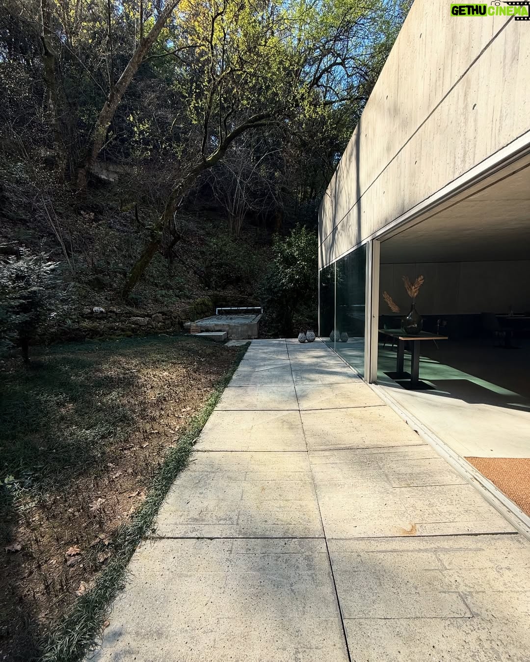 Marisa Cruz - 5.3K Likes - Por muito que conheça o nosso país ainda sou surpreendida com sítios muito especiais. Deixo-vos o registo de um dia passado em ótima companhia nesta casa de sonho no Gerês.
#gerês #portugal