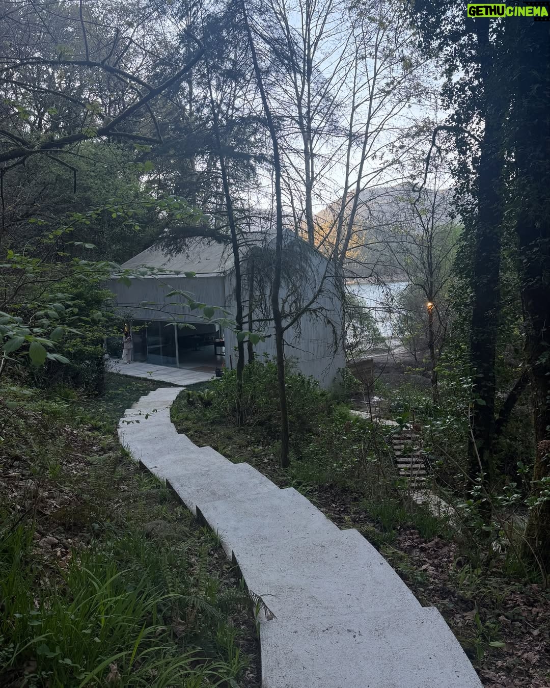 Marisa Cruz - 5.3K Likes - Por muito que conheça o nosso país ainda sou surpreendida com sítios muito especiais. Deixo-vos o registo de um dia passado em ótima companhia nesta casa de sonho no Gerês.
#gerês #portugal