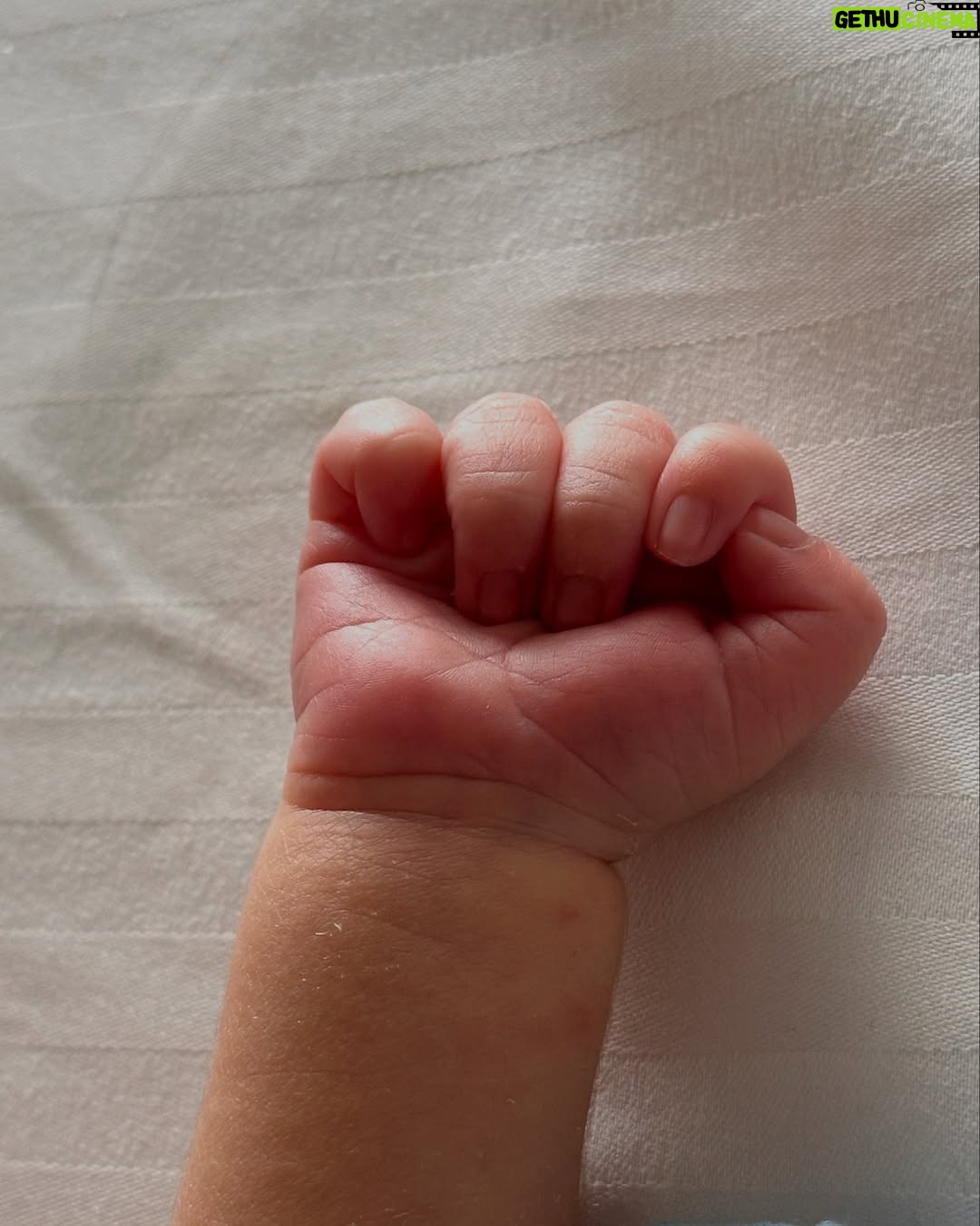 Mariyam Nafees - 162.8K Likes - ﷽ •
Our world just got a lot more handsome! 🤩
World, meet Syed Eesa Amaan Ahmed.
A week or so old, arrived in this blessed month, this lil guy has made us fall for him hard and fast ❤️
Welcome to the world, baby boy.
May you live your dreams, Ameen. 🥹😘
Lovelies, please keep us in your prayers. 🌻
To all the women trying to conceive, I pray that you’re blessed with a healthy baby super soon, Ameen. 💐
| #AmYam Baby | He’s here | Eesa | Alhamdulilah | MashAllah |