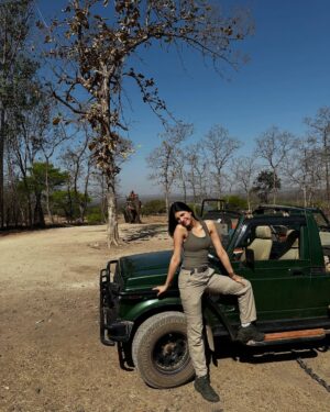 Medha Rana Instagram - Hakuna matata 🤎🐒🕸️🐅🦚🌾🦌🍃🐿️☀️