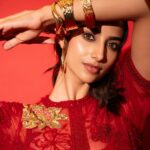 Meenakshi Chaudhary