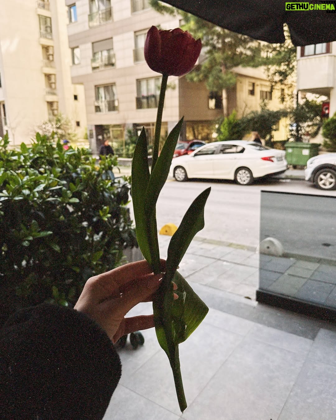 Melis İşiten - 7.2K Likes - not to be a normal, is our new normal.