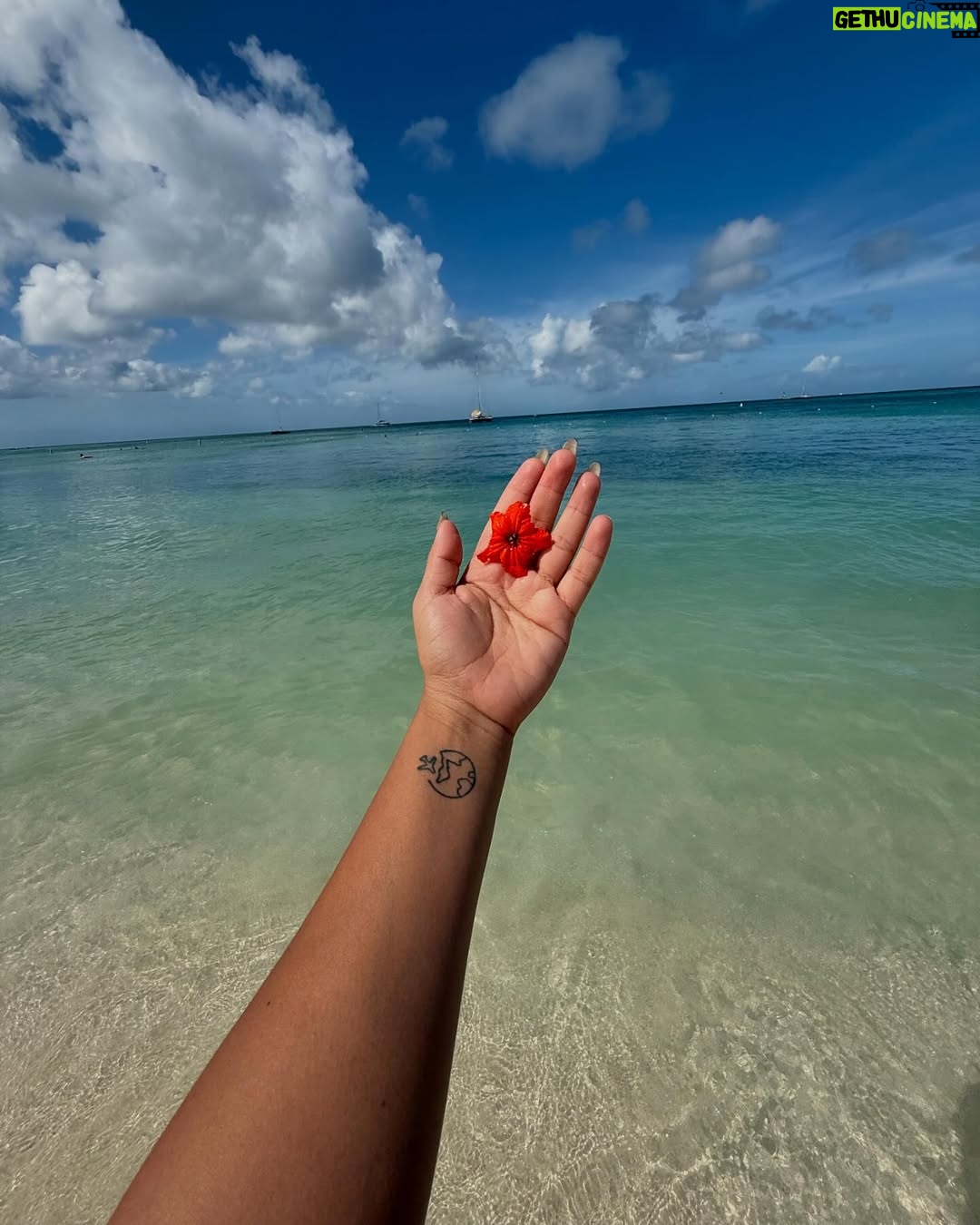 Michela Pincay - 47.2K Likes - Una negrita en Aruba 🏝️
.
.
P.d. El niñito arruinando mi video es igualito a Ale de bebé 🏝️✈️✨⛵️🤍
