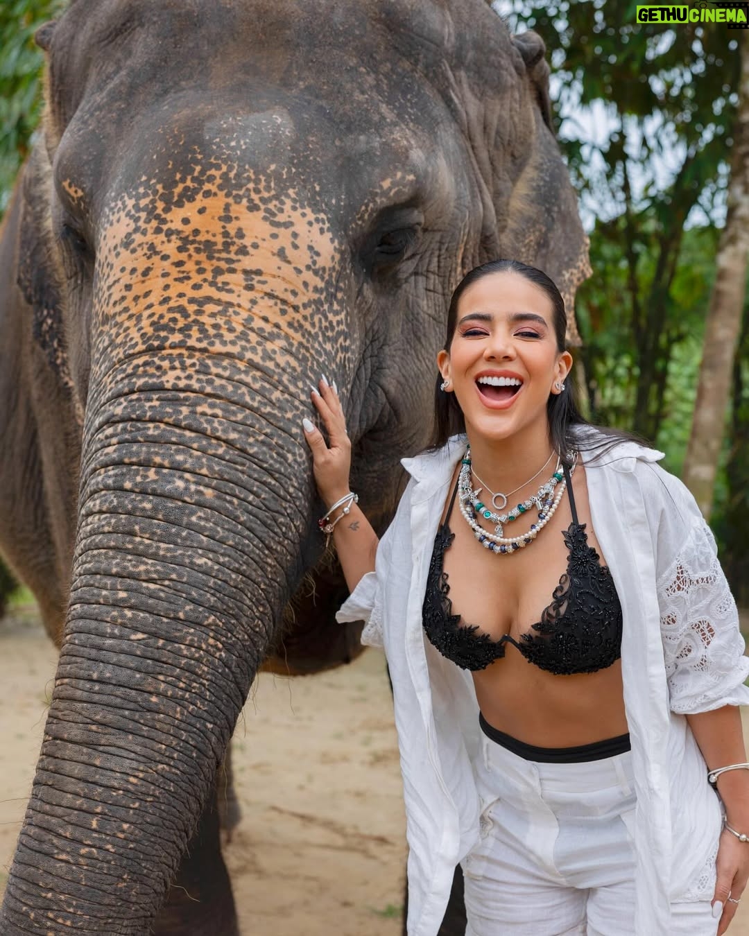 Michela Pincay - 52.3K Likes - Michela, mi amor, cuando seas grande te prometo que ni tú misma vas a saber cuál es la cosa más increíble que has hecho porque serán tantas que no sabrás por dónde empezar ✨ Te amo, te mereces mirar la vida como si fuera magia todos los días 🥹🐘
.
.
Nunca voy a olvidarme de este momento con ustedes @theofficialpandora los amo 💕 #FromThailandWithLove #PandoraSquad24 #PandoraTakesThailand