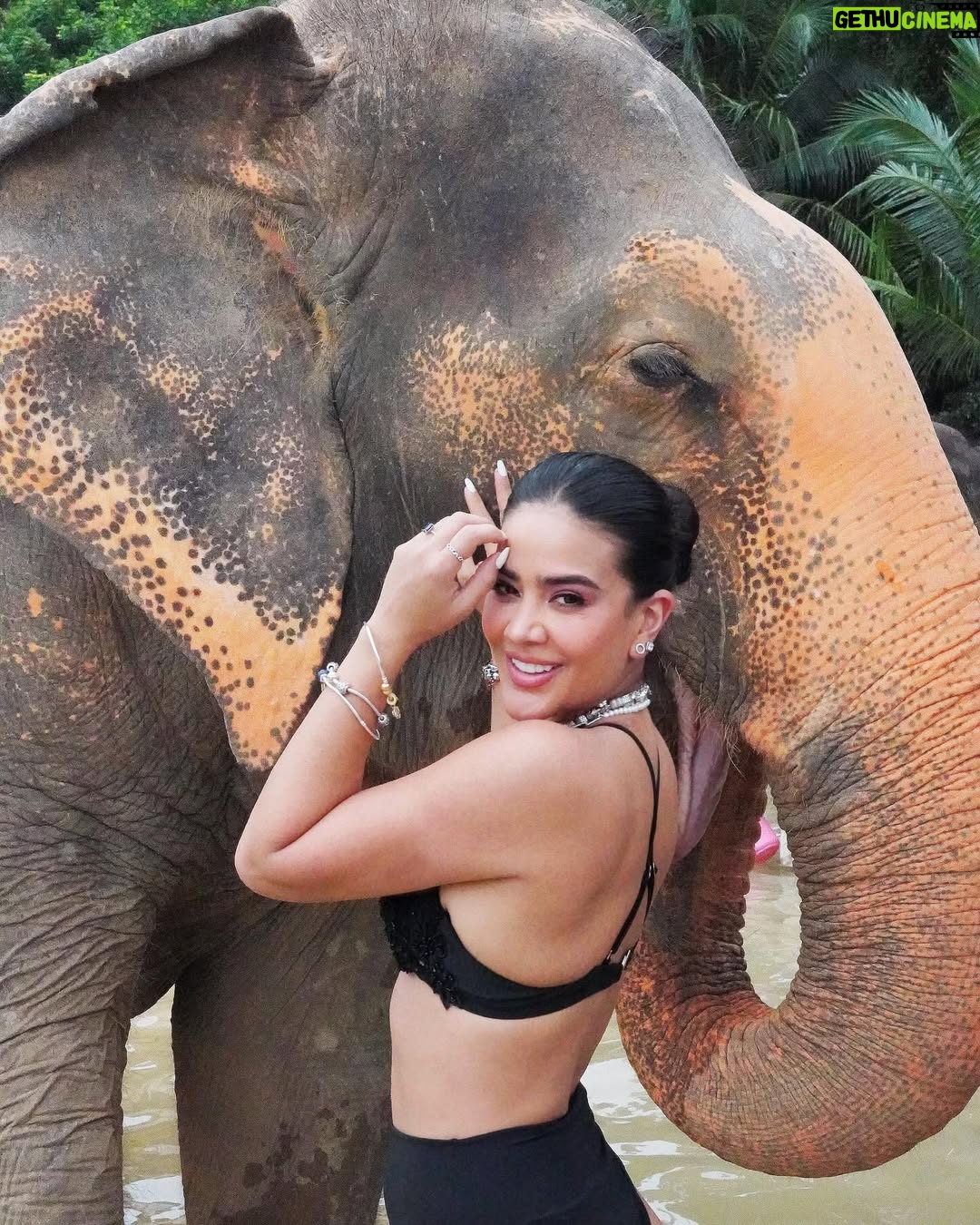 Michela Pincay - 52.3K Likes - Michela, mi amor, cuando seas grande te prometo que ni tú misma vas a saber cuál es la cosa más increíble que has hecho porque serán tantas que no sabrás por dónde empezar ✨ Te amo, te mereces mirar la vida como si fuera magia todos los días 🥹🐘
.
.
Nunca voy a olvidarme de este momento con ustedes @theofficialpandora los amo 💕 #FromThailandWithLove #PandoraSquad24 #PandoraTakesThailand