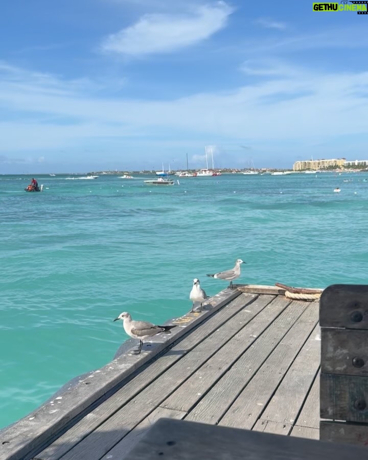Michela Pincay - 47.2K Likes - Una negrita en Aruba 🏝️
.
.
P.d. El niñito arruinando mi video es igualito a Ale de bebé 🏝️✈️✨⛵️🤍