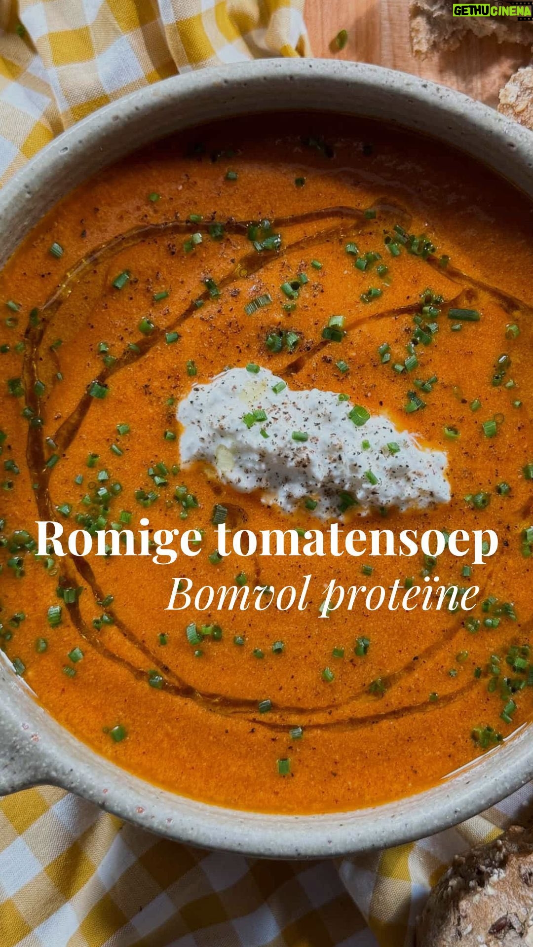 Miljuschka Witzenhausen - 19.6K Likes - Eiwitrijk, gezond en super snel klaar. Wat wil je nog meer? 🍅
Deze tomatensoep zet je in een handomdraai op tafel. Recept? Miljuschka.nl
#soep #tomatensoep #eiwitrijk