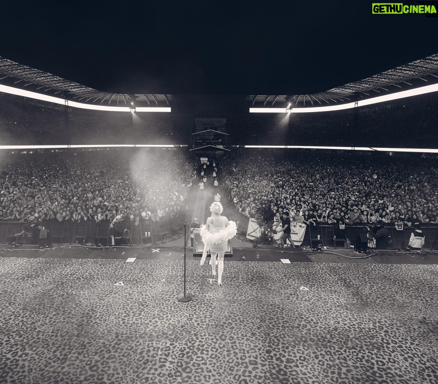 Mon Laferte - 244.8K Likes - Vive Latino 2025, se quedará en mi corazón como uno de los momentos mas especiales de mi vida
Gracias México, no te imaginas cuánto te amo ❤️
Fotos @mayraortizph