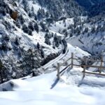 Monserrat Torrent