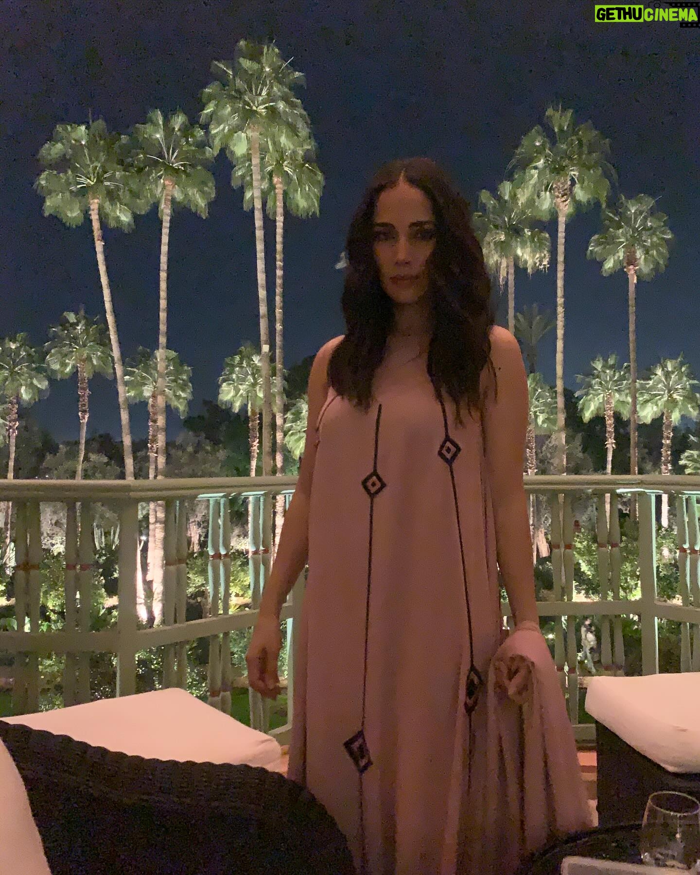 Nadia Kounda - 3.3K Likes - BEHIND THE PALM TREES @marrakechfilmfestival ♥️@oubaichmarrakech
#morocco🇲🇦 #morocco #winter