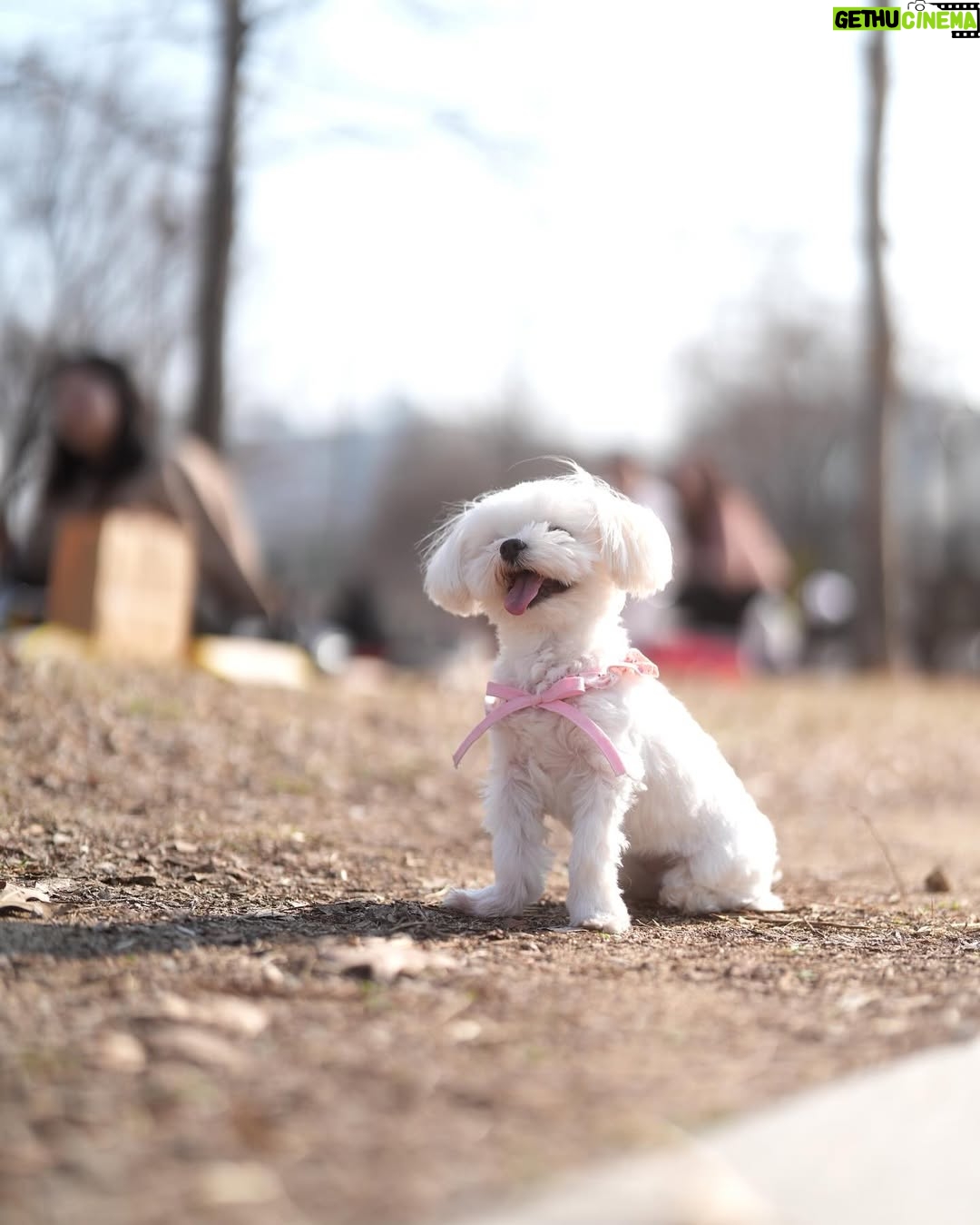 Nam Bo-ra - 4.8K Likes - ㅋㅋㅋㅋ 저번주 교회 끝나고 휘호랑 한강 라면 뿌시기 ㅋㅋㅋ
전투적으로 먹네 우리 ㅋㅋㅋㅋㅋㅋ
그리고 벚꽃 머털이🌸