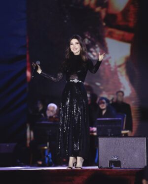 Nancy Ajram Instagram - Some nights live forever! Thank you #Erbil ❤️