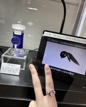 Nanoka Hara Instagram - .

ずっと行きたかった寄生虫館へ。

大変よかった… 

フタゴムシの指輪げっと💍