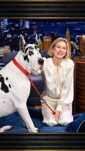 Actress Naomi Watts HD Photos and Wallpapers March 2025