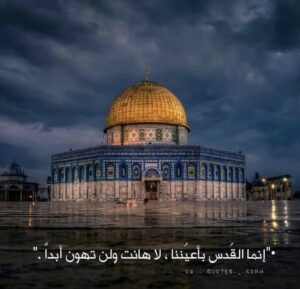 Nashwa Mustafa Instagram - 
