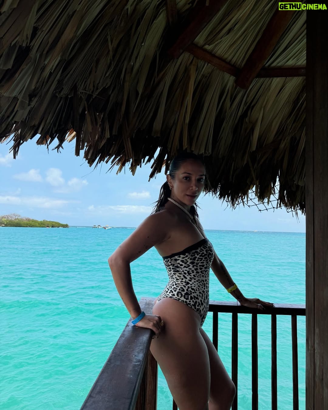 Natalia Mandiola - 5.6K Likes - En otra vida fui del caribe, eso es 100% seguro 🏝️☀️🤎
Que chimba no? 🇨🇴 📈
@joseherrera_chile acompañándome 🔥🔥🐚🐚
#shotoniphone #colombia #zasfest2025 #cartagena
Cuánt@s más aman el caribe?