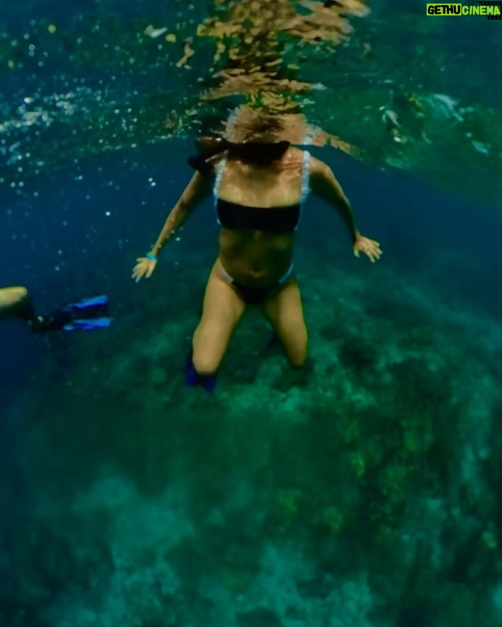 Natalia Mandiola - 3.6K Likes - Hermoso día de Snorkel 🤿 , playa 🏝️, mucha risa y sol ☀️
#zasfest2025 #colombia #islabaru #snorkel