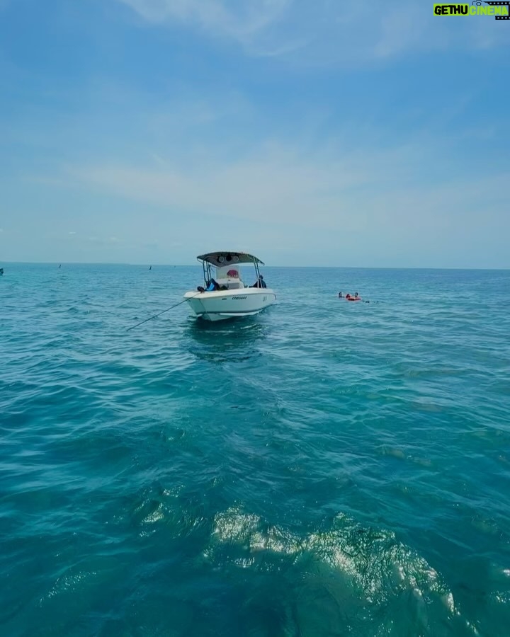 Natalia Mandiola - 3.6K Likes - Hermoso día de Snorkel 🤿 , playa 🏝️, mucha risa y sol ☀️
#zasfest2025 #colombia #islabaru #snorkel