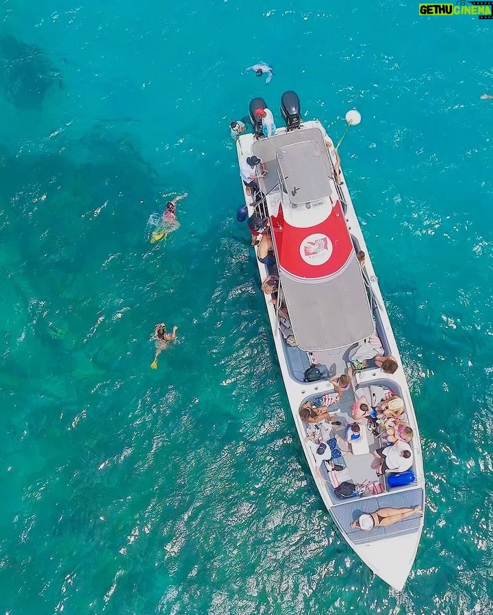 Natalia Mandiola - 3.6K Likes - Hermoso día de Snorkel 🤿 , playa 🏝️, mucha risa y sol ☀️
#zasfest2025 #colombia #islabaru #snorkel
