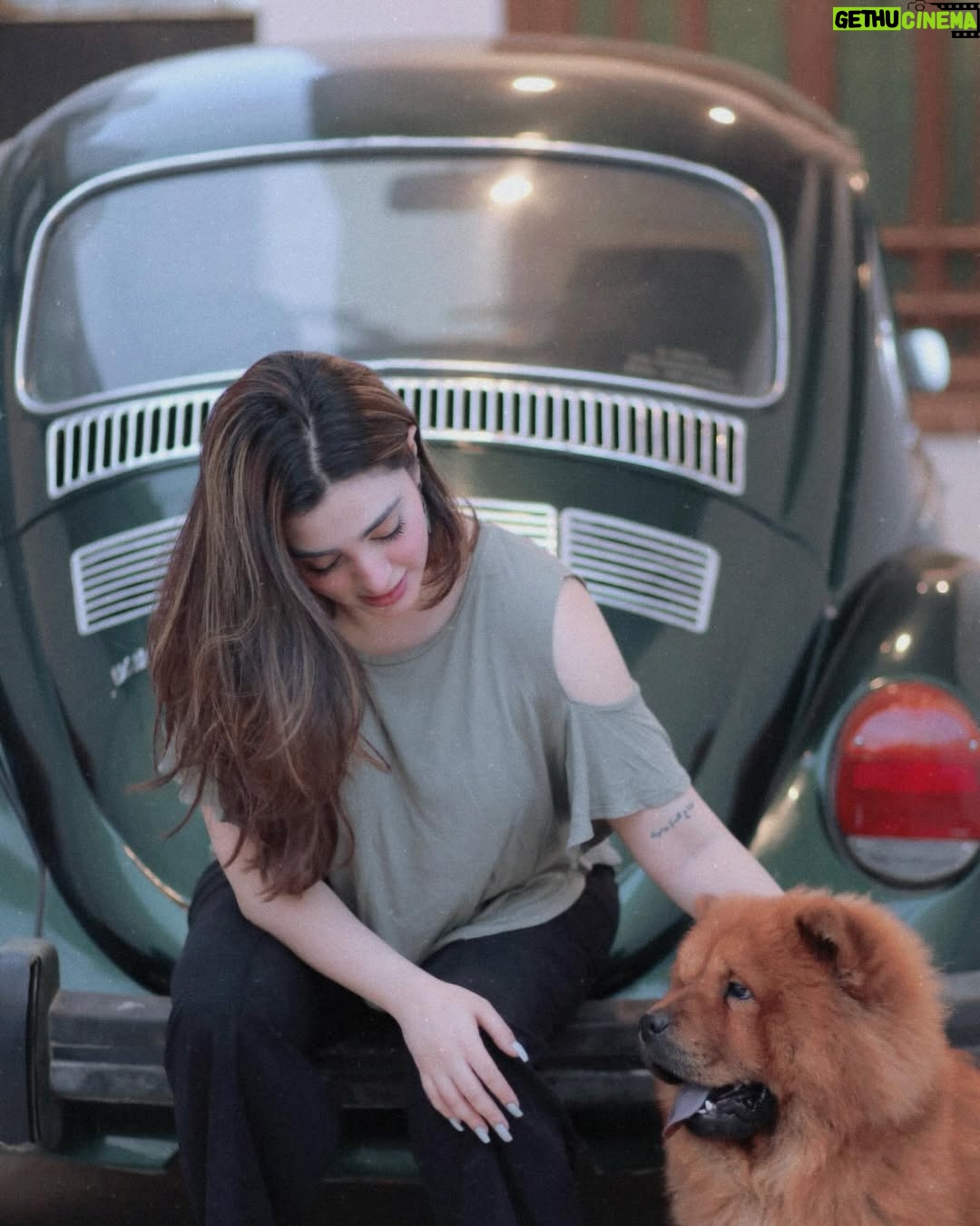 Nawal Saeed - 171.4K Likes - - 🐾