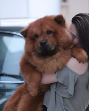Nawal Saeed Instagram - - 🐾
