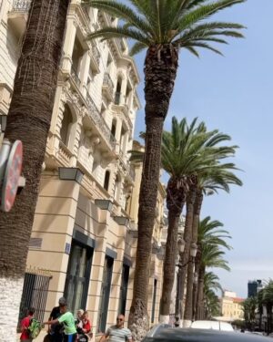 Nawell Madani Instagram - Bon Ramadan à tous.

Ramadan, pour moi, c’est avant tout un retour aux sources. Un mois où on se recentre sur l’essentiel, où on se rapproche des siens, où on se reconnecte à sa foi et à soi-même. J’aime le passer en famille, et il n’y a rien de plus beau que ces moments partagés, ces soirées où on rit, on échange, on se retrouve autour d’une table après une journée de jeûne.

Mais jeûner, ce n’est pas juste s’abstenir de manger et de boire. C’est aussi travailler sur soi : sur sa patience, sa générosité, son comportement, sur notre rapport aux autres et à ce qui nous entoure. C’est un mois d’épreuves, mais surtout un mois d’apprentissage et de miséricorde.

Quand je peux, j’aime le vivre pleinement au bled, à Oran, en famille. Ces quelques jours où on descend ensemble, où on se ressource, où on se rappelle d’où on vient, ça a une saveur particulière. Là-bas, tout a une autre intensité, entre les appels à la prière qui rythment la journée, les odeurs de la cuisine qui envahissent les rues, et cette ambiance unique qu’on ne retrouve nulle part ailleurs.

Mais je pense aussi à tous ceux qui passeront ce Ramadan seuls, loin de leur famille, dans la difficulté. Et surtout, je pense encore une fois au peuple palestinien. Depuis mon enfance, je n’ai jamais vu un seul Ramadan où ils ont pu jeûner en paix. Chaque année, ils le vivent sous l’injustice et la souffrance, sous le regard du monde qui, trop souvent, détourne les yeux. Que Dieu leur facilite, leur accorde la patience, la force et, un jour, la paix qu’ils méritent.

Ramadan, c’est la foi, c’est la solidarité, c’est l’égalité. C’est se rappeler ce qui compte vraiment.

Bon mois béni à tous. 

Cc @djebril_zonga @nordine_madani @sooo_med