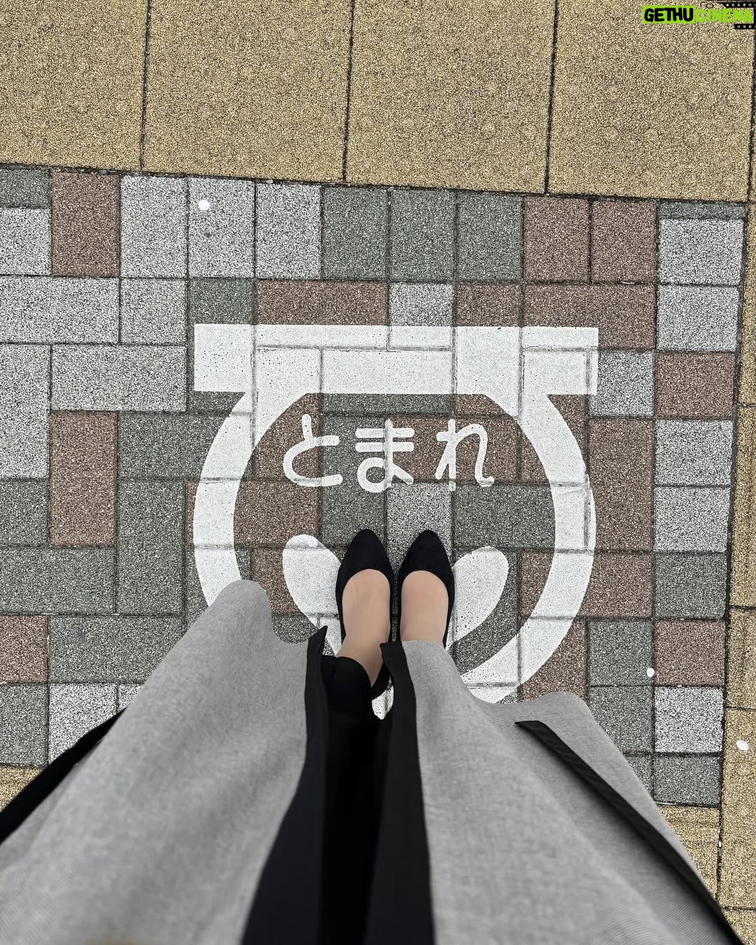 Nene Shida - 19.6K Likes - 春休みの思い出🌸
好きな季節来たー☺︎
季節の変わり目なので体調にお気をつけてくださいね🤧