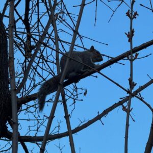 Neva Leoni Instagram - Varie ed eventuali di una Torino in primavera e una Serenella in ansia
🫀🫀🫀