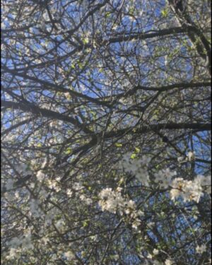 Niki Aneja Walia Instagram - Spring Is Springing 🌿🌸🌼🌱