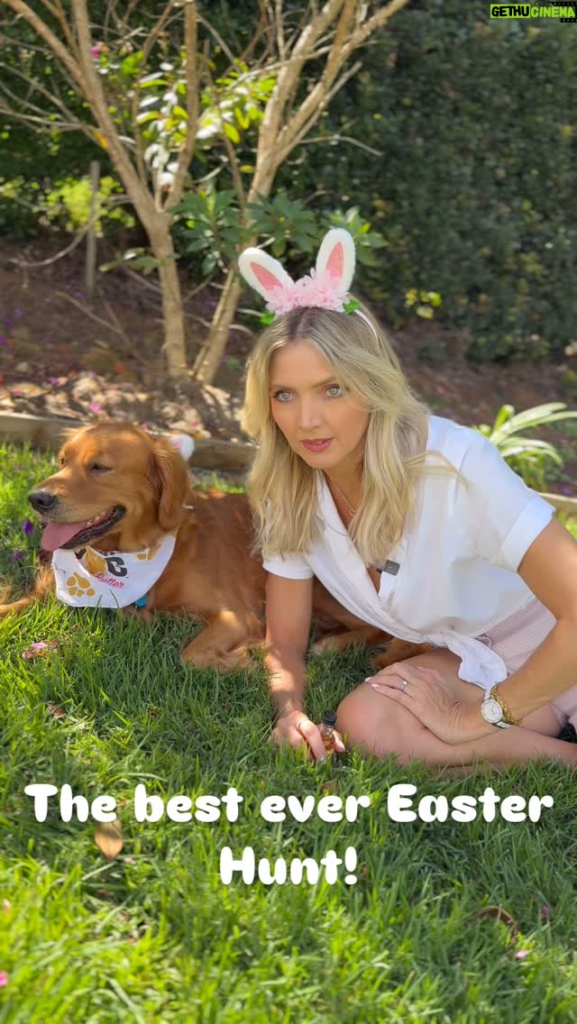 Nikki Osborne - 4.3K Likes - Sheep Dog Peanut Butter Whiskey is all I want this Easter!! #fyp #reels #viral #funny #easter #easterhunt #sheepdogpeanutbutterwhiskey #dogsofinstagram #drinkresponsibly🍹🍸 #sheepdogaunz @sheepdogaunz