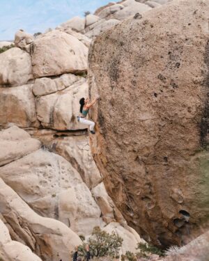 Nina Williams Instagram - First ascent energy from @sheneenagins on Every Vocal Animal (V9) in the Buttermilks—an instant classic on steep stone and bullet crimps.

“There are three distinct cruxes throughout the 30ft of climbing, with full commitment moves at the top. The flow is mint, the rock is quality, and the landing is flat. 😉 Go check it out!” -Nina