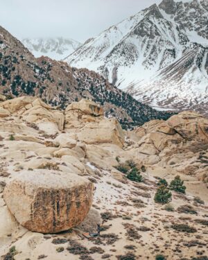 Nina Williams Instagram - First ascent energy from @sheneenagins on Every Vocal Animal (V9) in the Buttermilks—an instant classic on steep stone and bullet crimps.

“There are three distinct cruxes throughout the 30ft of climbing, with full commitment moves at the top. The flow is mint, the rock is quality, and the landing is flat. 😉 Go check it out!” -Nina