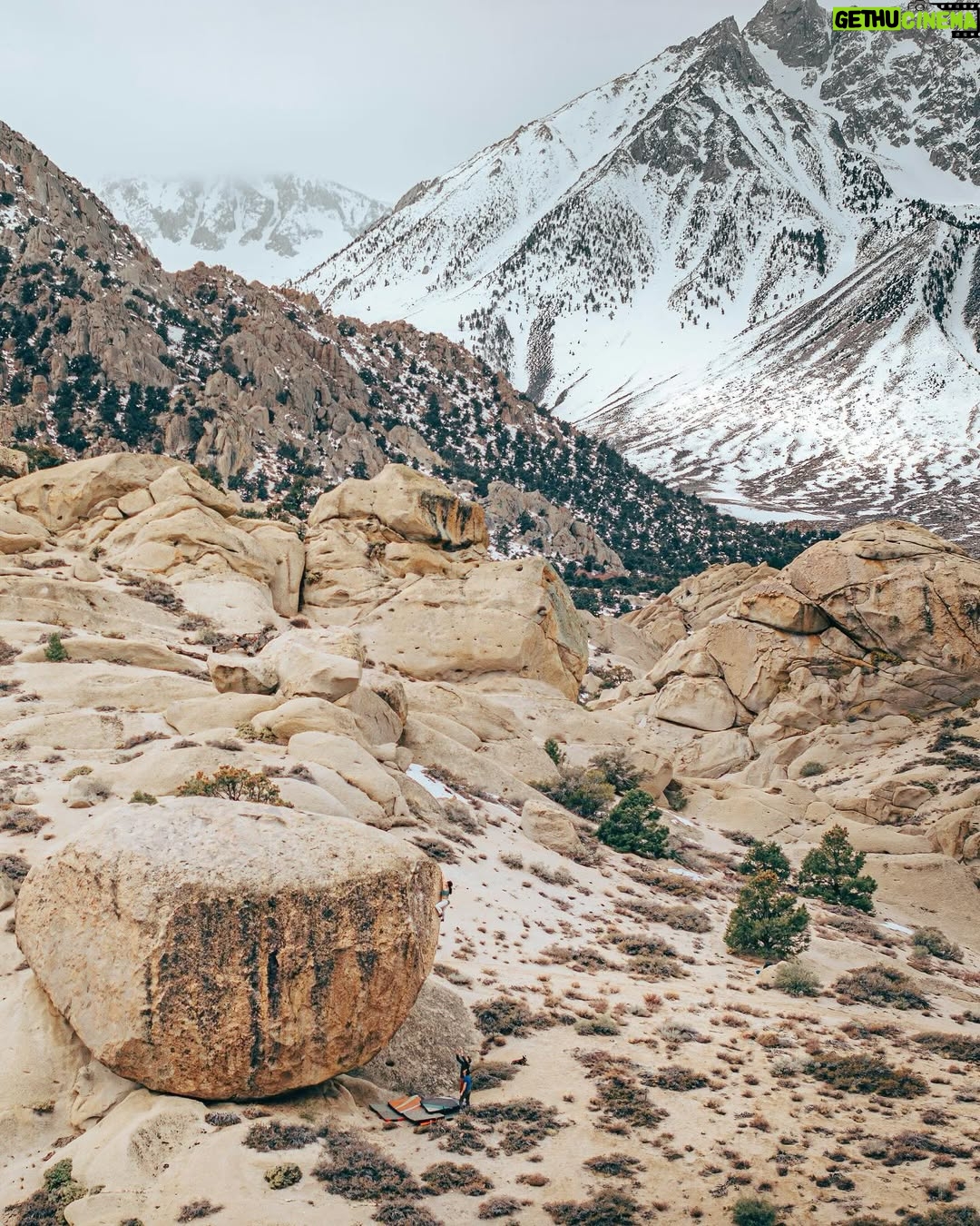Nina Williams - 8.9K Likes - First ascent energy from @sheneenagins on Every Vocal Animal (V9) in the Buttermilks—an instant classic on steep stone and bullet crimps.
“There are three distinct cruxes throughout the 30ft of climbing, with full commitment moves at the top. The flow is mint, the rock is quality, and the landing is flat. 😉 Go check it out!” -Nina