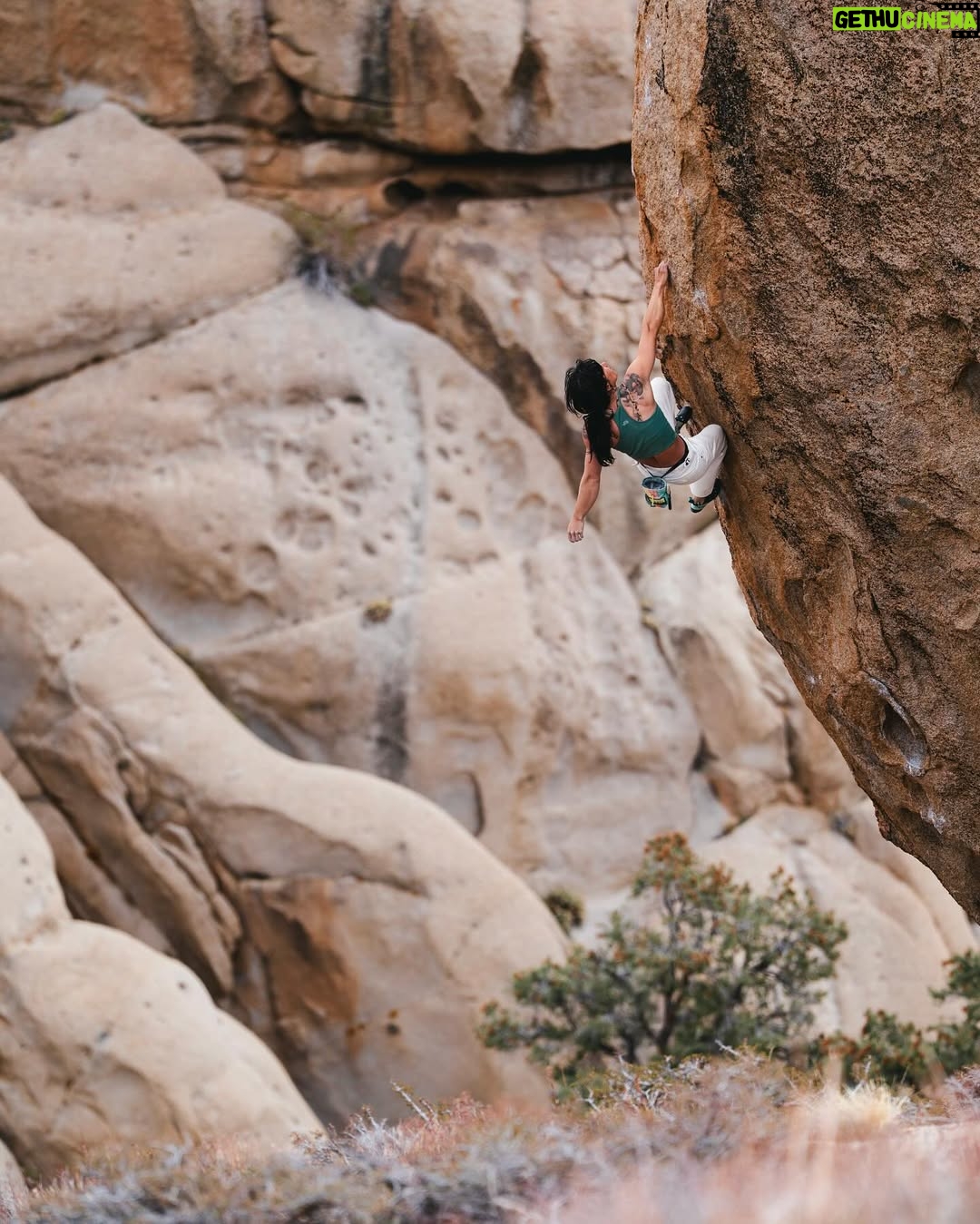 Nina Williams - 8.9K Likes - First ascent energy from @sheneenagins on Every Vocal Animal (V9) in the Buttermilks—an instant classic on steep stone and bullet crimps.
“There are three distinct cruxes throughout the 30ft of climbing, with full commitment moves at the top. The flow is mint, the rock is quality, and the landing is flat. 😉 Go check it out!” -Nina