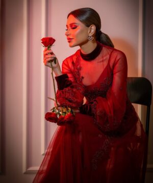 Noha Nabil Instagram - December is the time for remembering the past and reaching toward the future 🌹