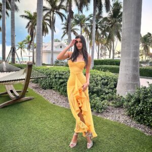 Noor Taher Instagram - celebrating love, family, new family🤍… & dolphins